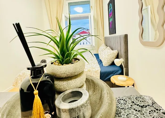 4br Shared Apartment Vienna